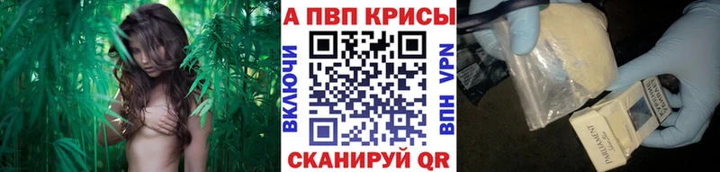 А ПВП крисы CK  купить наркотики сайты  нарко площадка официальный сайт  Мирный 