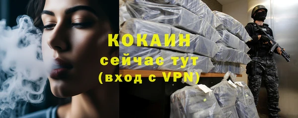 мдпв Осташков