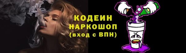 прущие грибы Тайга
