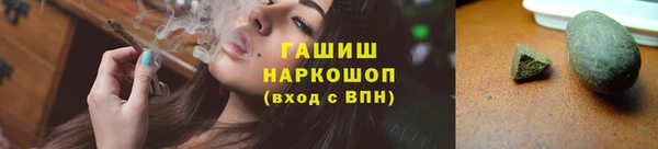 мдпв Осташков