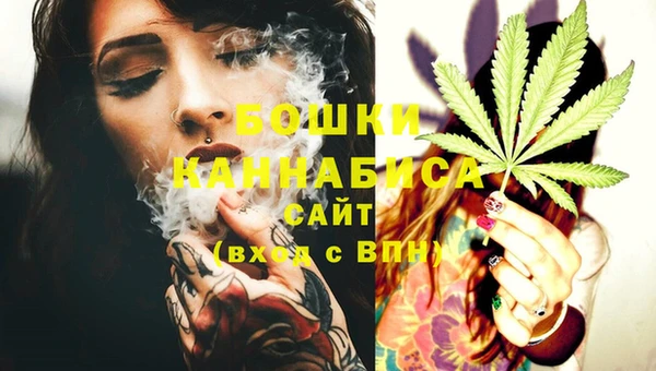 мдпв Осташков