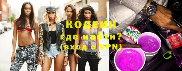 индика Пестово