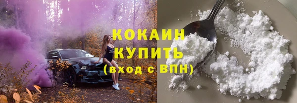 мдпв Осташков