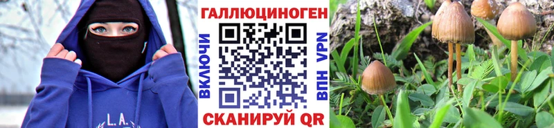 Галлюциногенные грибы GOLDEN TEACHER  Мирный 