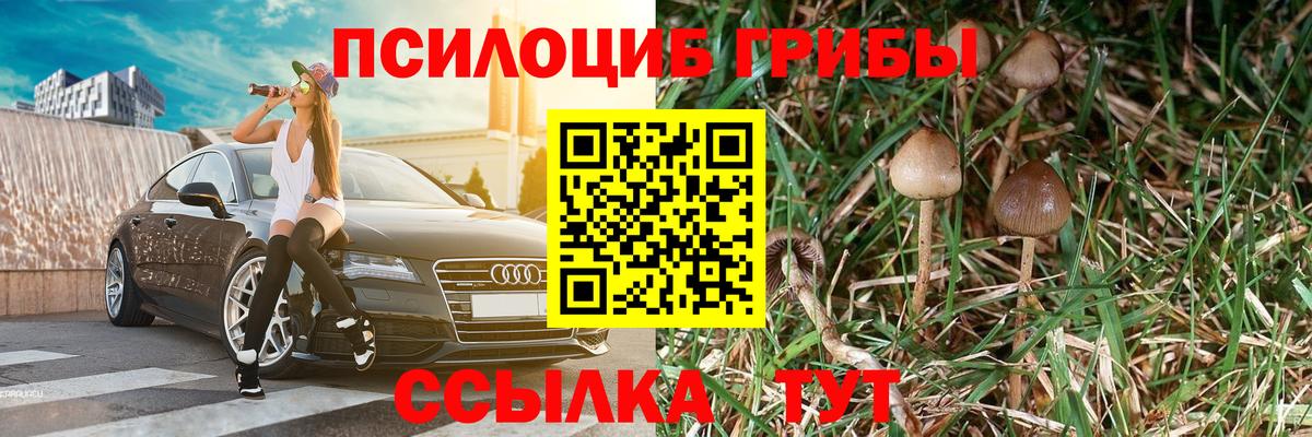 Мирный  Галлюциногенные грибы Cubensis  закладка  Вход с VPN 