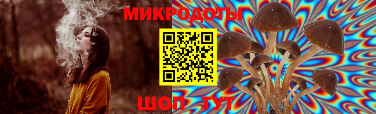 купить наркотик  Псилоцибиновые грибы MAGIC MUSHROOMS  Мирный  Псилоцибиновые грибы Cubensis 